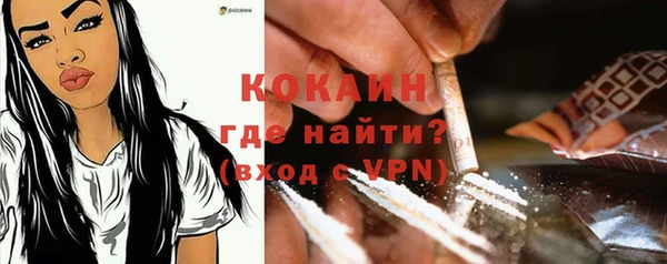 дживик Аркадак