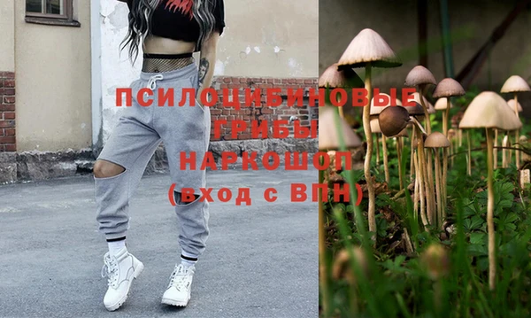 стаф Алексеевка