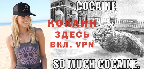дживик Аркадак