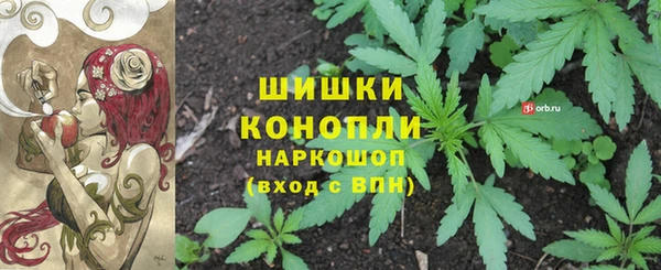 дживик Арсеньев