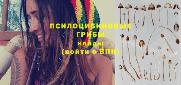 спиды Алзамай