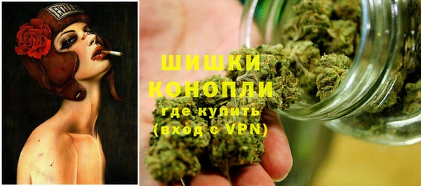 дживик Аркадак
