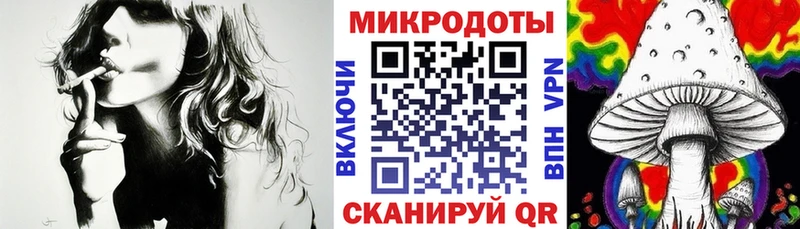 Псилоцибиновые грибы Cubensis  Саки 